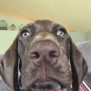 Meet your Posher, Kj